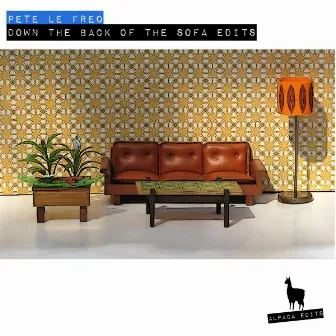 Down the Back of the Sofa Edits by Pete Le Freq