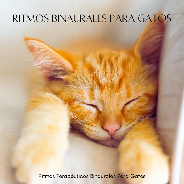 Ritmos Terapéuticos Binaurales Para Gatos