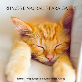 Ritmos Terapéuticos Binaurales Para Gatos by Colectivo Binaural