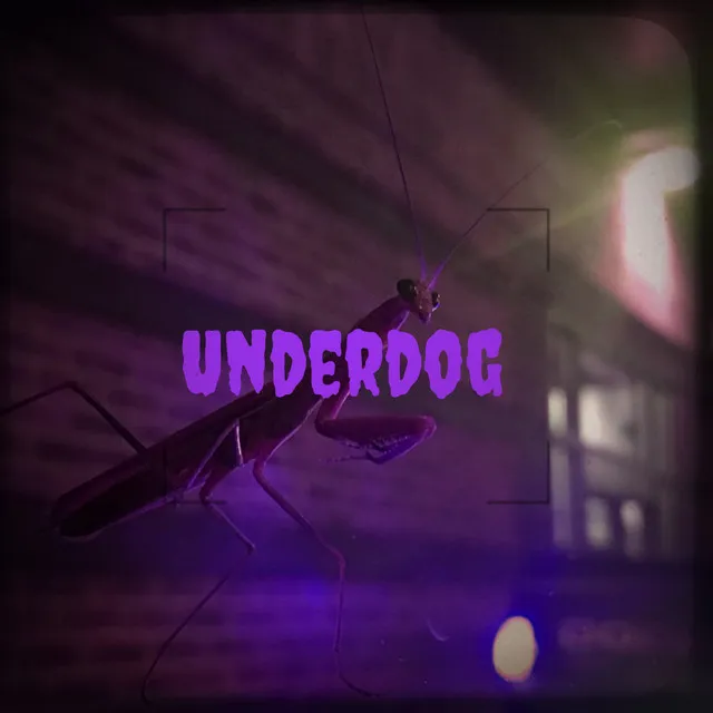 Underdog