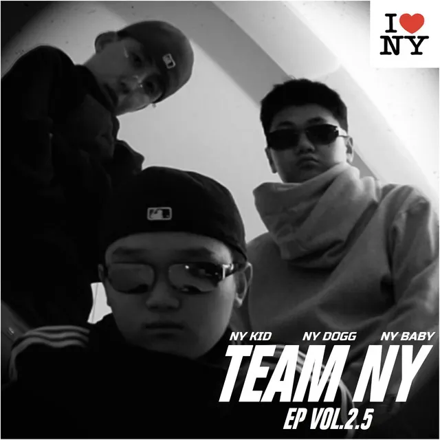 TEAM NY VOL.2.5