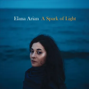 A Spark of Light by Elana Arian