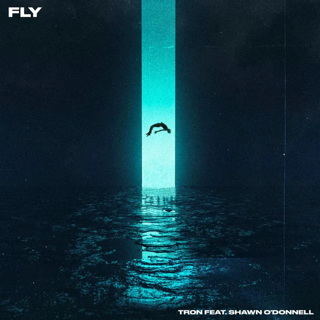 Fly