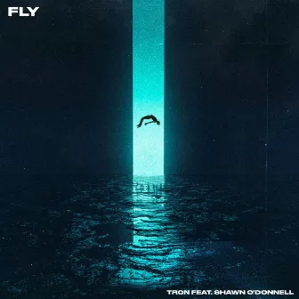 Fly by Tr0n