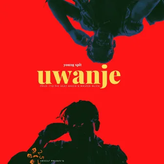 Uwanje by Young Spit