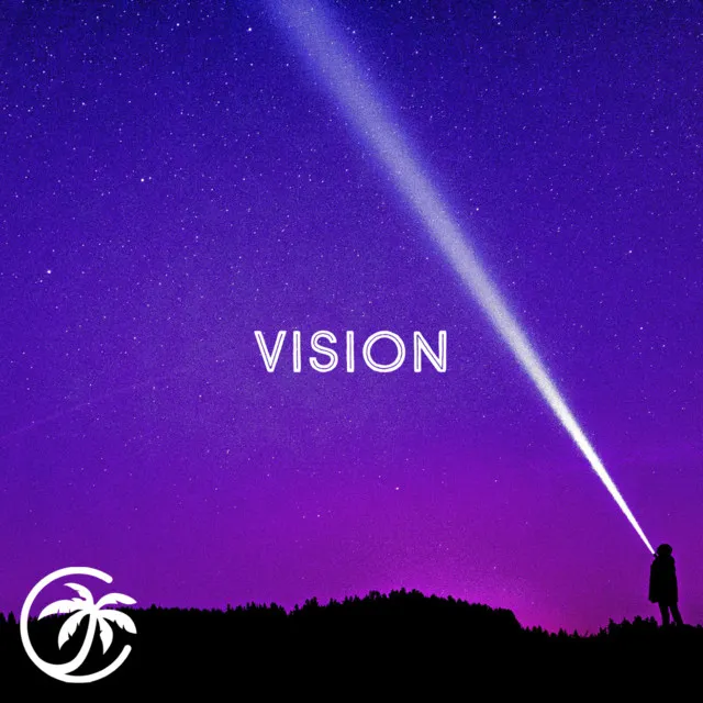 Vision