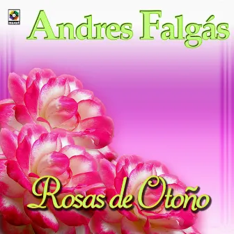 Rosas De Otoño by Andres Falgas