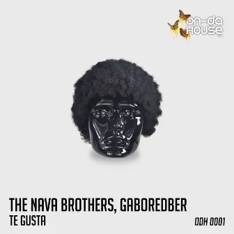 Te Gusta by The nava brothers