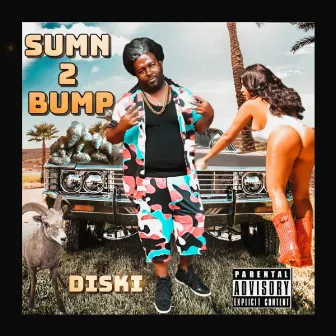 Sumn 2 Bump by Diski