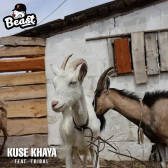 Kuse Khaya by Beast Rsa