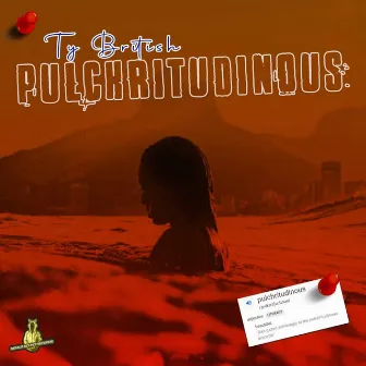 Pulchritudinous by Ty British