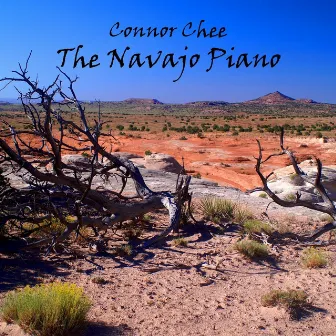 The Navajo Piano by Connor Chee