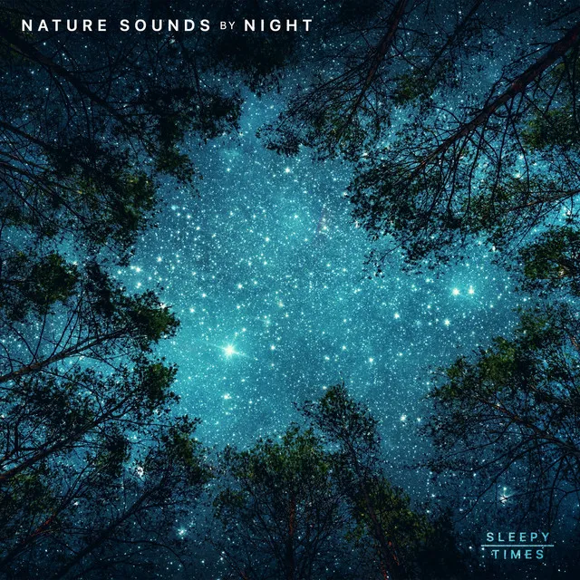 Night Sounds