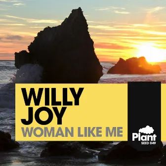 Woman Like Me by Willy Joy