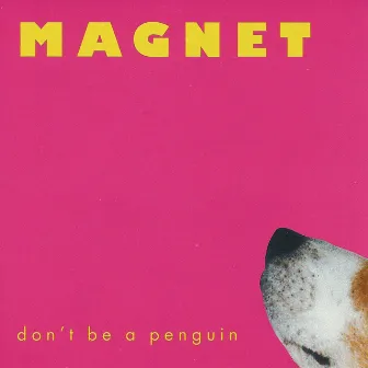 Don't Be a Penguin by Magnet