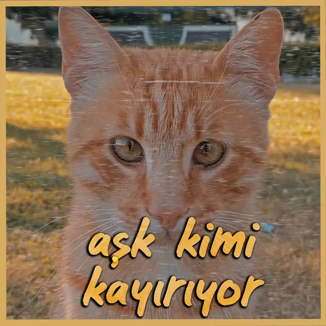 Aşk Kimi Kayırıyor