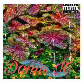 Damn It by Aaron Meezo