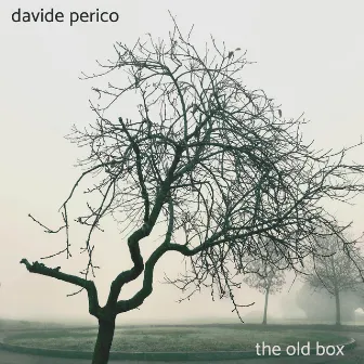 The Old Box by Davide Perico