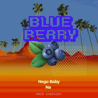 Blueberry by NA