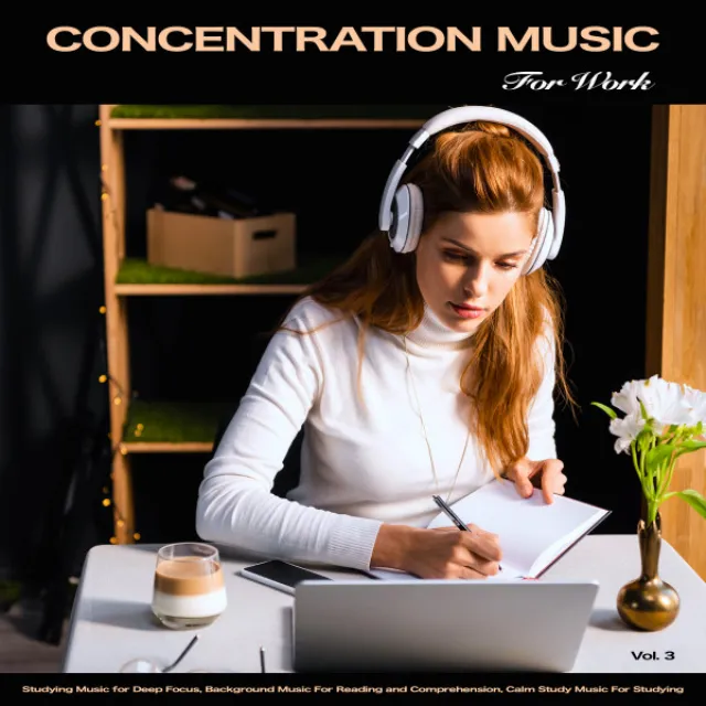 Concentration Music For Work: Studying Music for Focus, Background Music For Reading, Calm Study Music, Office Music, Easy Listening Background Music and The Best Study Music, Vol. 4