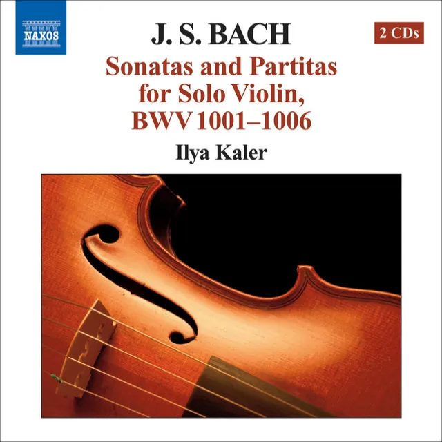 Violin Sonata No. 1 in G Minor, BWV 1001: II. Fuga: Allegro