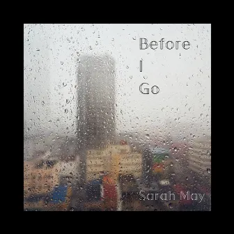 Before I Go by Sarah May