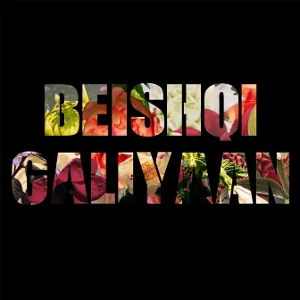 Beishqi Galiyaan by Shefali Alvares