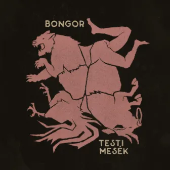 Testi Mesék by bongor