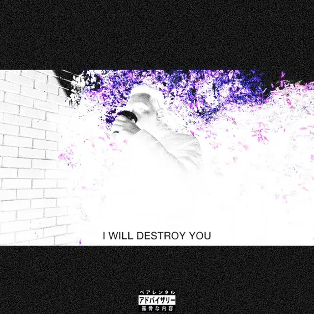 I Will Destroy You