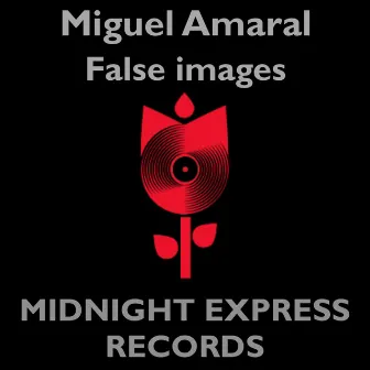 False images by Miguel Amaral