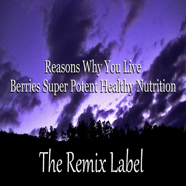 Reasons Why You Live - Loyalmen Progressive Chillout Mix