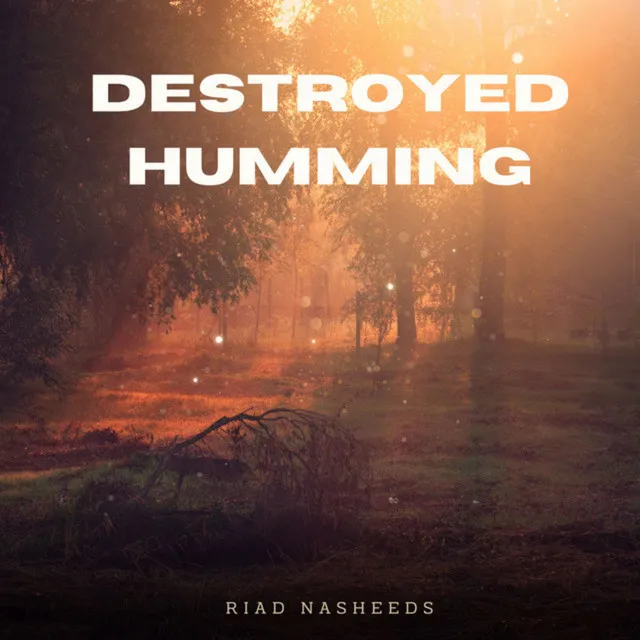 Destroyed Humming