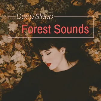 Deep Sleep Forest Sounds - Dreamy Night Music for Relaxation by Unknown Artist