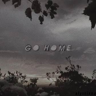 go home by alyssiana