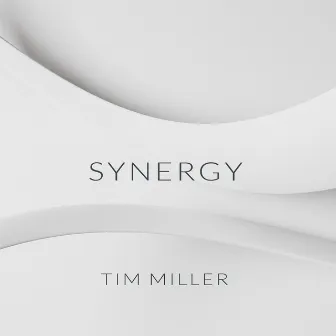 Synergy by Tim Miller