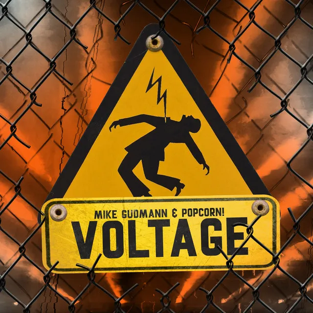 Voltage