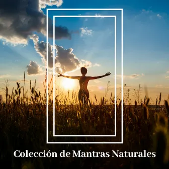 Colección de Mantras Naturales - Sonidos de la Naturaleza Hipnotizantes para Prácticas de Cuidado Personal como la Meditación y los Ejercicios de Yoga by Relajación Mantra Guru