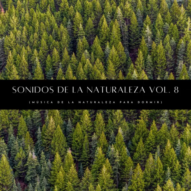 Sonidos Orgánicos De La Naturaleza Pt. 1