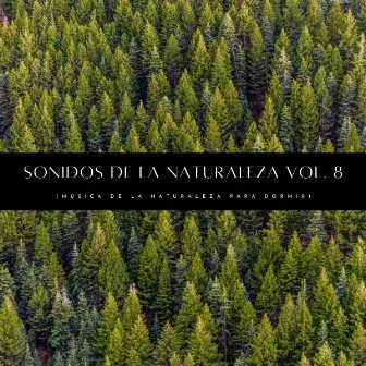 Sonidos De La Naturaleza Vol. 8 (Música De La Naturaleza Para Dormir) by Ruidos de la Selva