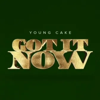 Got It Now by Young Cake