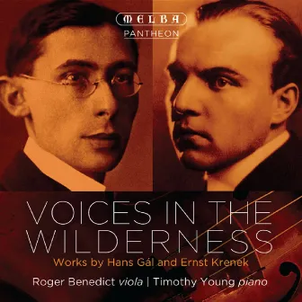 Voices in the Wilderness by Timothy Young