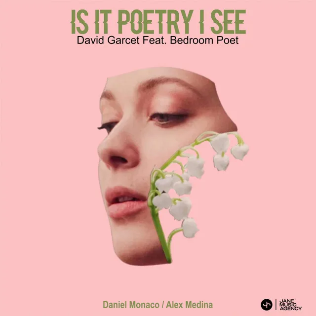 Is it poetry I see - Daniel Monaco Remix