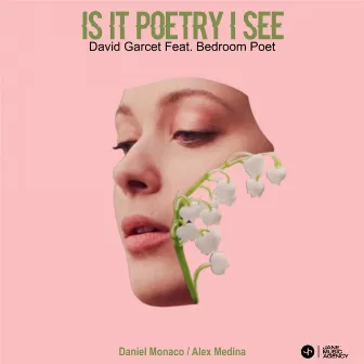 Is it poetry I see by David Garcet