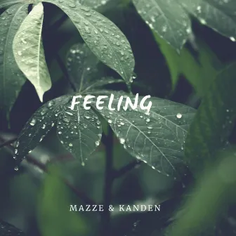 Feeling by Mazze