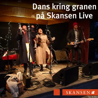 Dans kring granen på Skansen by Ayla Kabaca