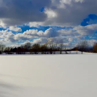 Promenade d'hiver by Christian Labbe