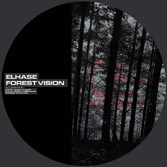 Forest Vision by Elhase