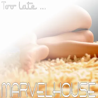 Too Late by MarvelHouse