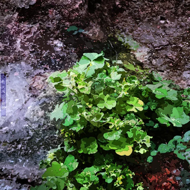 雨 大风 三月匆匆