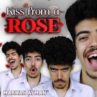 Kiss from a Rose by Marwan Ayman